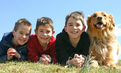 Choosing a pet